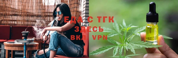 гидра Кодинск