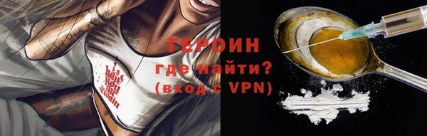 гидра Кодинск