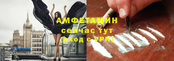 гидра Кодинск