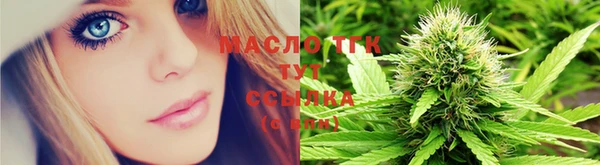 гидра Кодинск