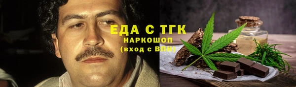 гидра Кодинск