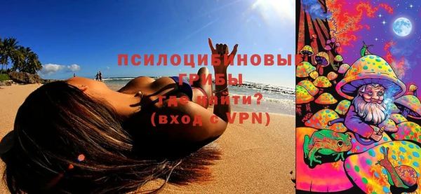 первитин Козловка