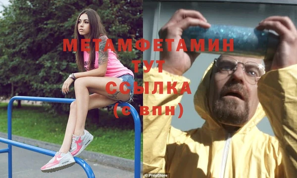 гидра Кодинск
