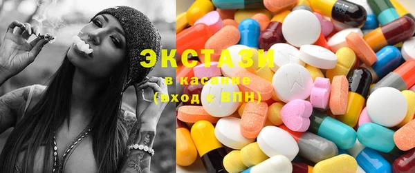 гидра Кодинск
