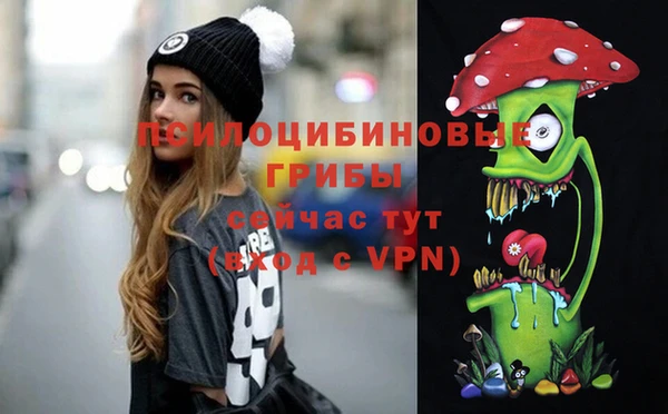 первитин Козловка