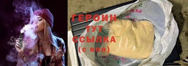 гидра Кодинск
