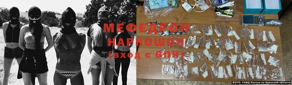 гидра Кодинск
